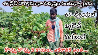 Top cotton seed in India  అధిక దిగుబడి ఇచ్చే పత్తి విత్తనాల రకాలు తెలుసుకోండి [upl. by Ledua]