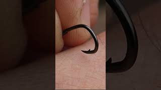 Barbel Fishing Hook Choice fishing fishingvideo barbelfishing [upl. by Leblanc]