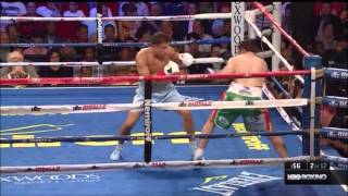 Golovkin 2013 Highlights  Rosado Ishida Macklin Stevens [upl. by Ahsinad551]