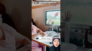 diluar banyak zombi‼️campingWorld1 [upl. by Ailemak]