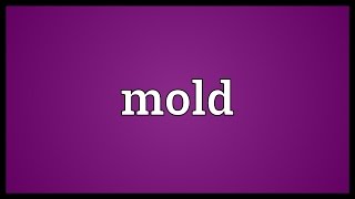 Mold Meaning [upl. by Bowrah]