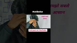 Nucleolus neet biology trending video viralvideo viralshorts education love school [upl. by Hasan]