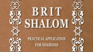 בני נח of TLC  Brit Shalom Review  Chapter 9 [upl. by O'Connell]