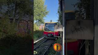 Einfahrt S25 nach Teltow Stadt am SBahnhof Yorkstraße sbahn train [upl. by Aiasi788]