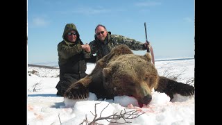 DIRECTORS CUT Dung Beetle Productions MT Kamchatka Brown Bear [upl. by Erdnad]