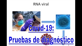 Prueba Covid19 anticuerpos SARSCoV2 Explicación breve y sencilla [upl. by Callery695]