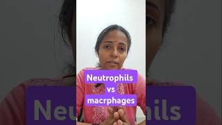 phagocytosis physiology class mbbs1styear physiologyvideos physiologylectures [upl. by Ellenej219]