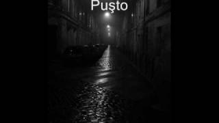 Ovidiu Haidu  Pustoaico VersuriLyrics [upl. by Elsi]