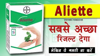 Aliette Fungicide ।। Bayer Aliette Fungicide ।। Fosetyl Al 80 WP ।। Aliette ।। Systemic Fungicide [upl. by Hsirrehc]