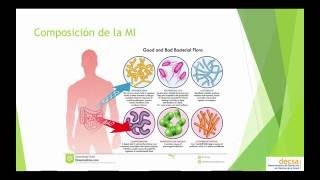 Fisiología  Microbiota intestinal [upl. by Mohandis153]