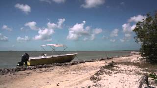 Tom Rosenbauer amp Belize Fly Fishing  Orvis Endorsed Lodge [upl. by Cis]