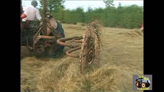 MASSEY FERGUSON 35 AND VICON ACROBAT [upl. by Giraldo]