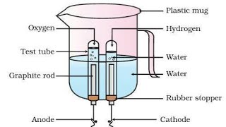 Electrolysis of water  Class 10  NCERT CBSE Chemistry Amazing Explanation [upl. by Eaned823]