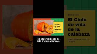 La Magia de la Calabaza  Calabacera  Samael Aun Weor esoterismo gnosis gnostiscismo magia [upl. by Birecree382]