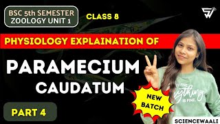 Physiology of Paramecium Caudatum💯  Locomotion Respiration Excretion Nutrition [upl. by Hanzelin]