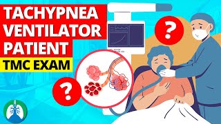 Tachypnea Tracheal Deviation and Hyperresonance TMC Practice Question [upl. by Ynamad829]
