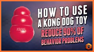 The Surprising Way Kong Toys Can CHANGE Your Dogs Life [upl. by Olfe832]