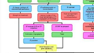 Pulmonary Embolus Algorithm [upl. by Elaina301]