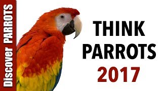 Think Parrots 2017  Discover PARROTS [upl. by Adnalro]