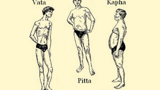 The Ayurvedic Body Types and Their Characteristics Vata Pitta Kapha [upl. by Revlis]