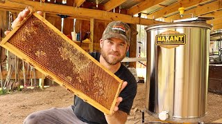 Harvesting 72 Pounds of Pure Honey [upl. by Xymenes]