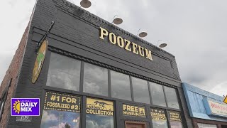 Check out the Poozeum in Williams [upl. by Nimref]