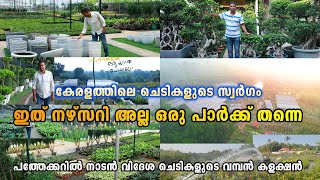 ഇവിടെ ഇല്ലാത്ത ചെടികളില്ല കേരളത്തിലെ ചെടികളുടെ സ്വർഗം Plant Story Ernakulam [upl. by Garner]