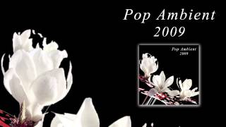 Popnoname  Nightliner Pop Ambient 2009 Album [upl. by Ecinerev]