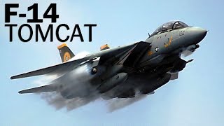 F14 Tomcat  Top Gun для моряков [upl. by Andra]