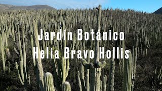 Jardín Botánico Helia Bravo Hollis [upl. by Germin818]