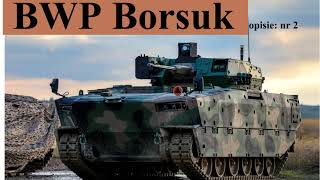 BWP Borsuk  10 najważniejszych informacji [upl. by Zipnick223]