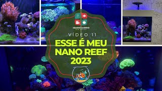 Esse é meu Nano Reef 2023  Vídeo nº11 [upl. by Alix74]