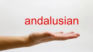 How to Pronounce andalusian  American English [upl. by Selinski476]