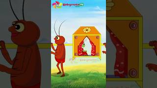 Phoring Babu r Biye Shorts YouTubeShorts phoringbaburbiye [upl. by Analahs]