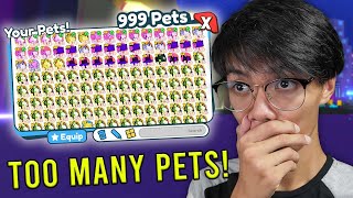 Pet Simulator X 17  REAL LIFE HUGE PET [upl. by Curson]