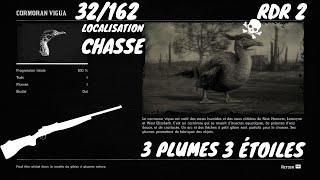 Tout Les Animaux 32162 Le Cormoran Vigua Localisation Red Dead Redemption 2 [upl. by Shirk]