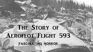 The Story of Aeroflot Flight 593  A Short Documentary  Fascinating Horror [upl. by Dimond]