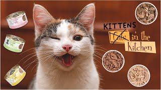 Wholesome and Delicious Exploring the Flavors of Cats in the Kitchen Kitten [upl. by Lrem]