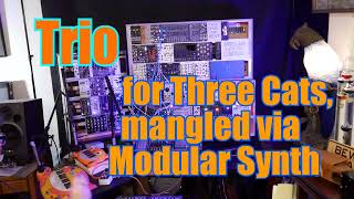 Three Meowsic keyboards mangled in a modular synth  a spacejazz improv [upl. by Richart]