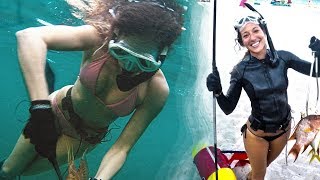 Nicole NEW Spearfishing amp Freediving Florida Hunting the Reefs Lobster Grabs Snappers Sharks [upl. by Petracca]