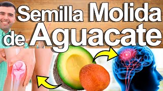 Semilla De Aguacate Molida  Para Qué Sirve  Beneficios Para Tu Salud Y Belleza [upl. by Og918]