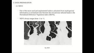 Project2016CSEPID22Monitoring Mangrove Forest Cover Changes Using RS amp GIS Data with ML Techniques [upl. by Helaina726]