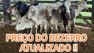 Preço do Bezerro Atualizado Mês Junho Vendemos os Bezerros [upl. by Willamina51]