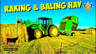 Raking amp Baling Hay with Vicon Lilly Wheel Rake amp John Deere 566 Baler [upl. by Melinde281]