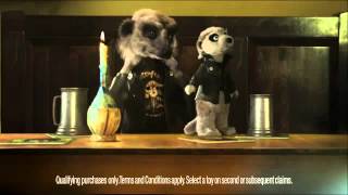 Compare the Meerkat  Advert 26 [upl. by Moht]