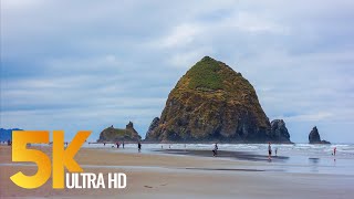 Pacific Northwest Part 1  Coastal Oregon  Views of the Ocean in 5K  3 HOUR Relaxation Video [upl. by Yrome]