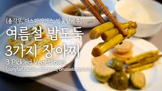 집 나간 입맛이 돌아와요 3가지 밥도둑 장아찌  3 Pickled Vegetables that stimulates our appetite [upl. by Lindahl]