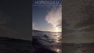 A Nice Afternoon Swim hawaii honolulu snorkeling diving swimming sunset [upl. by Marketa767]