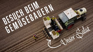 So entsteht unser Gemüse – Kochen im Tal [upl. by Ellenahc933]