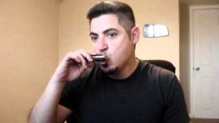 Harmonica Embouchure Pucker vs Tongue Blocking [upl. by Kalindi804]